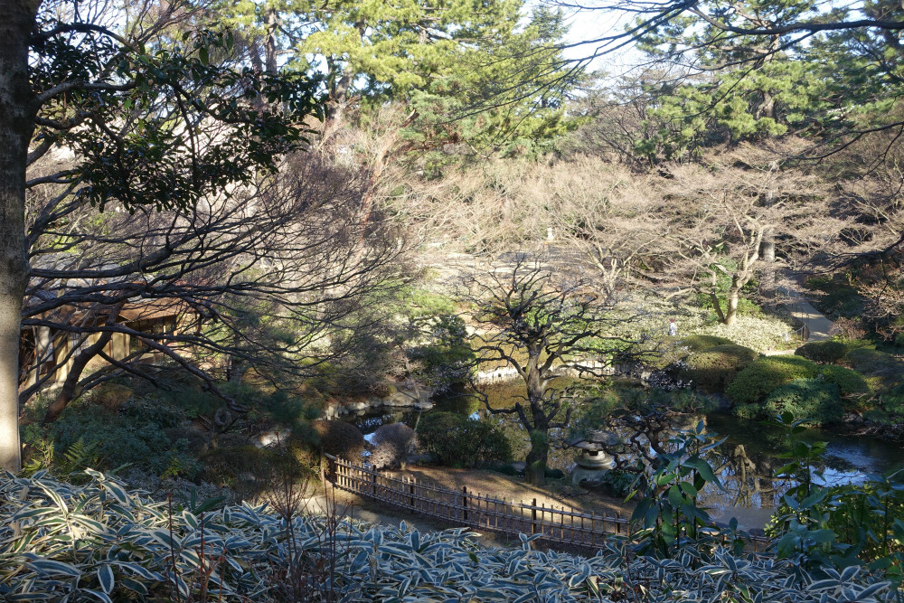 東京都庭園美術館　日本庭園の池