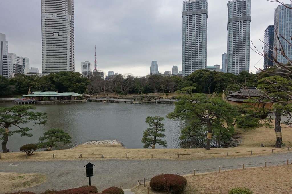 東京　浜離宮恩賜庭園　富士見山からみる潮入の池