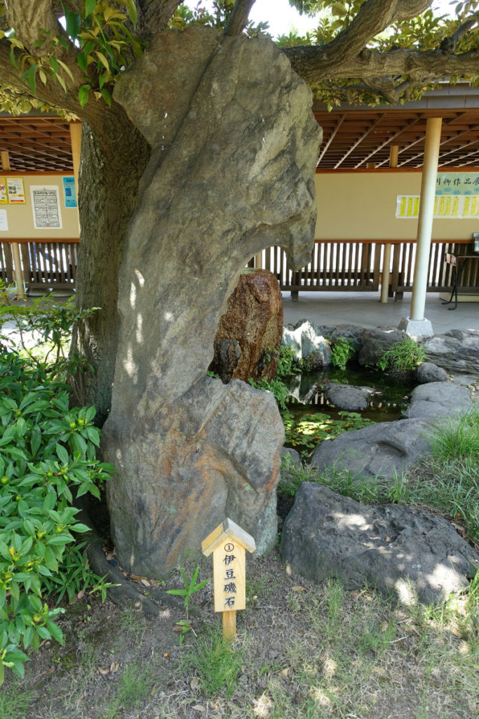 清澄庭園 園内の石の例2
