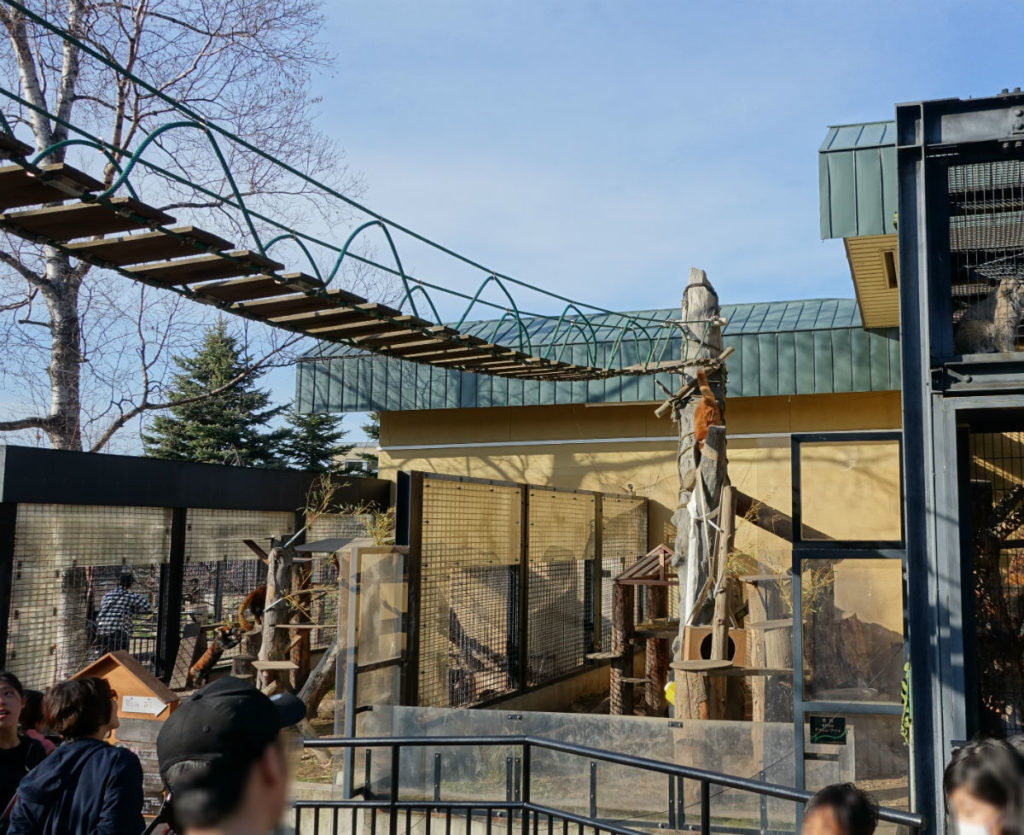 北海道旭山動物園　レッサーパンダ舎　吊り橋